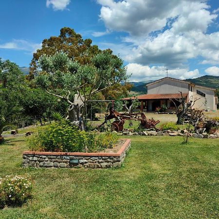 Azienda Agrituristica Verdevalle Cicerale Экстерьер фото