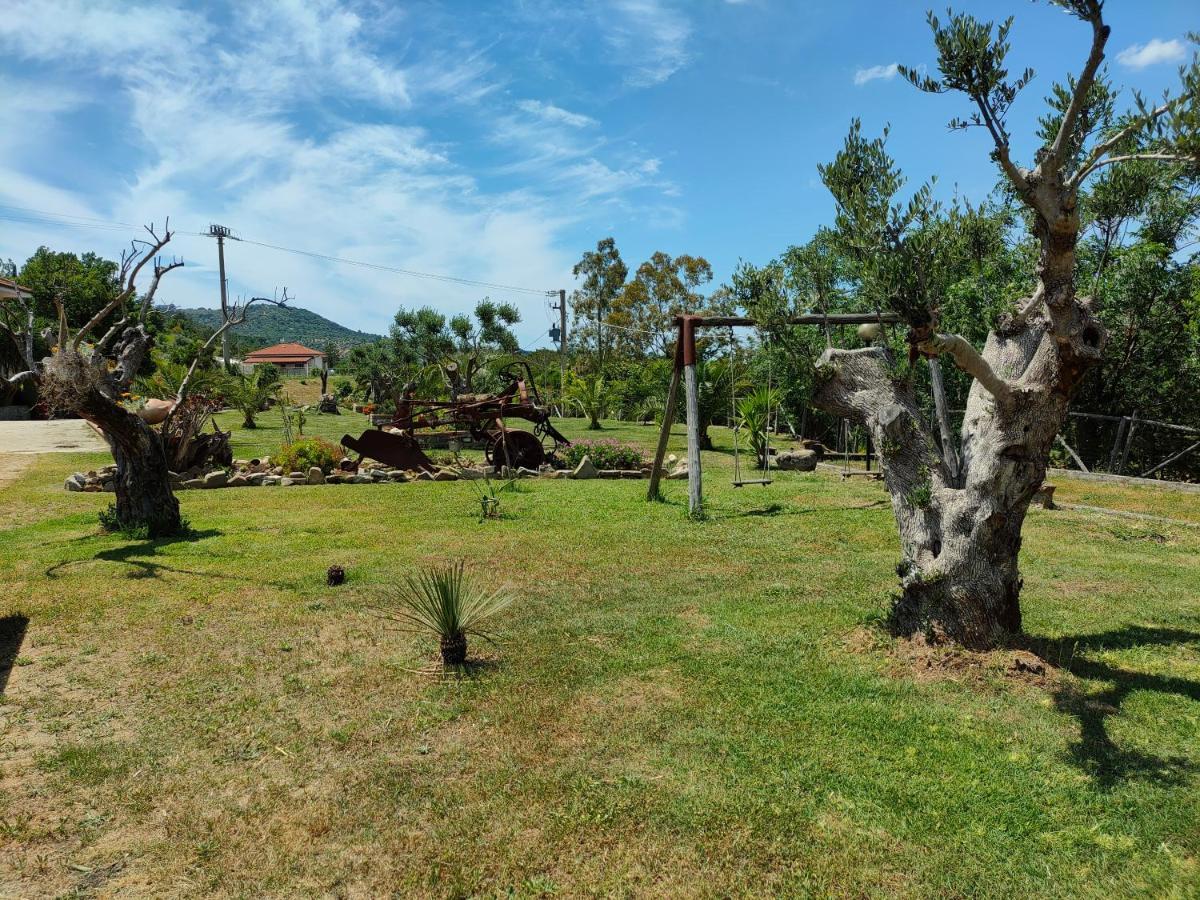 Azienda Agrituristica Verdevalle Cicerale Экстерьер фото